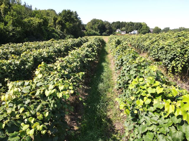 V/L E Hinchman Road, Berrien Springs, MI 49103