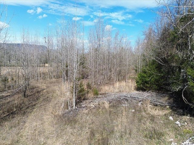 0 Francis Springs Road, Whitwell, TN 37397