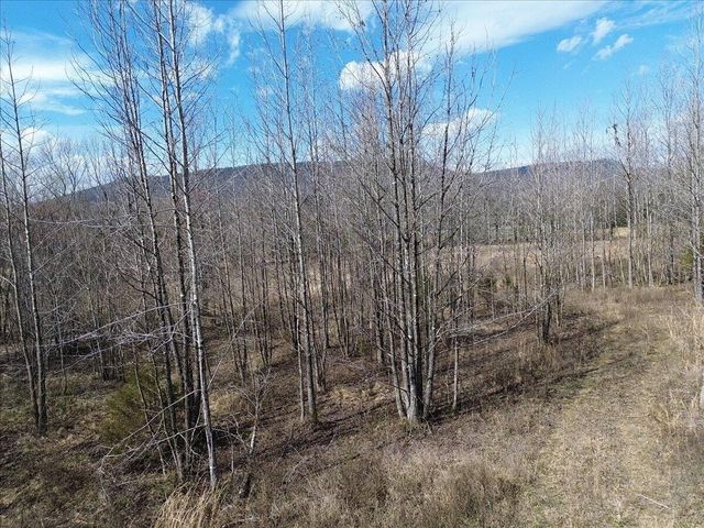 0 Francis Springs Road, Whitwell, TN 37397