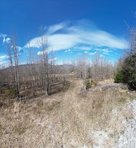 0 Francis Springs Road, Whitwell, TN 37397
