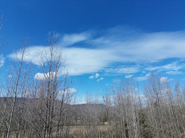 0 Francis Springs Road, Whitwell, TN 37397
