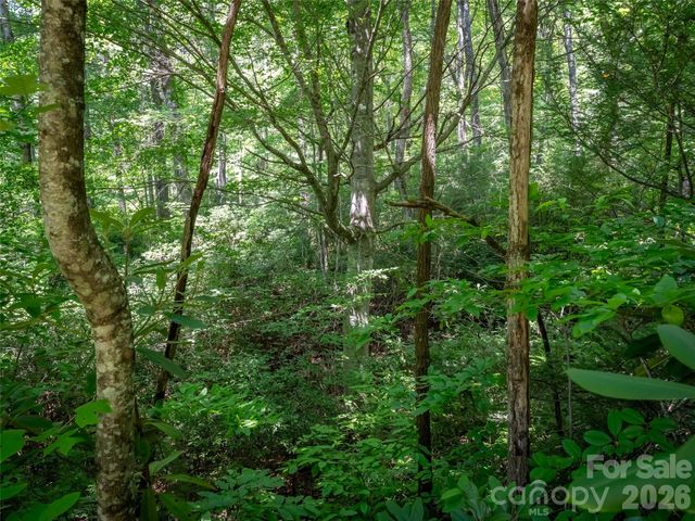 M11 Pine Mountain Trail, Brevard, NC 28712