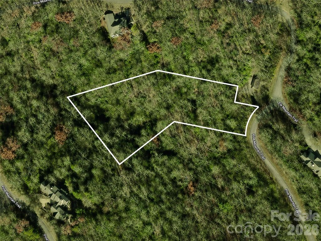M11 Pine Mountain Trail, Brevard, NC 28712