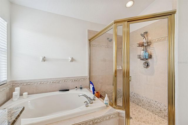 3633 MORGANS BLUFF COURT, Land O Lakes, FL 34639