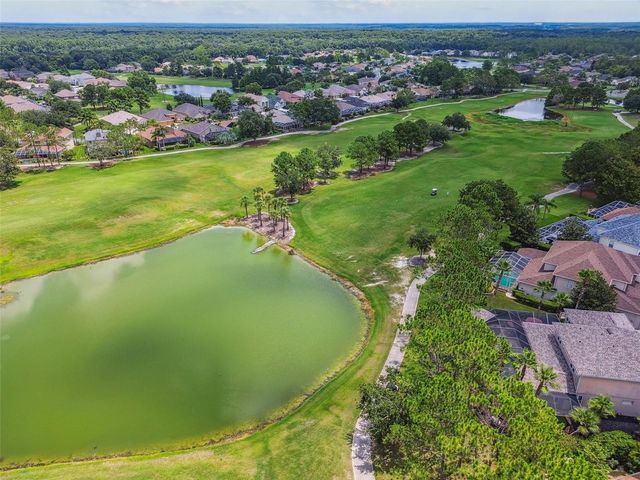 3633 MORGANS BLUFF COURT, Land O Lakes, FL 34639