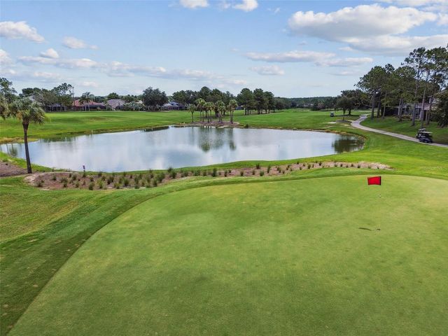 3633 MORGANS BLUFF COURT, Land O Lakes, FL 34639