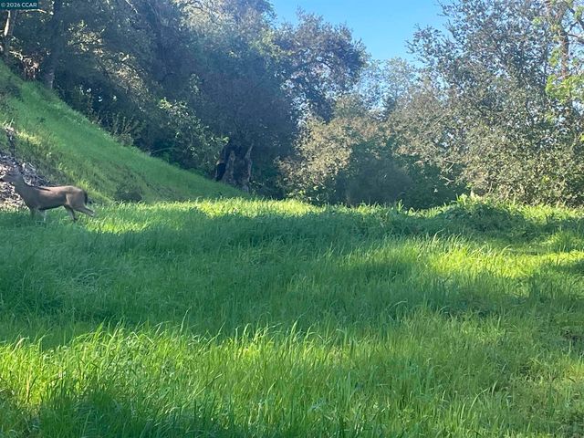 2965 Rohrer Dr, Lafayette, CA 94595