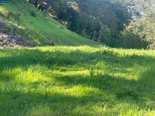 2965 Rohrer Dr, Lafayette, CA 94595