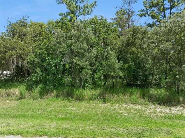 0 SW 128TH PLACE, Ocala, FL 34473
