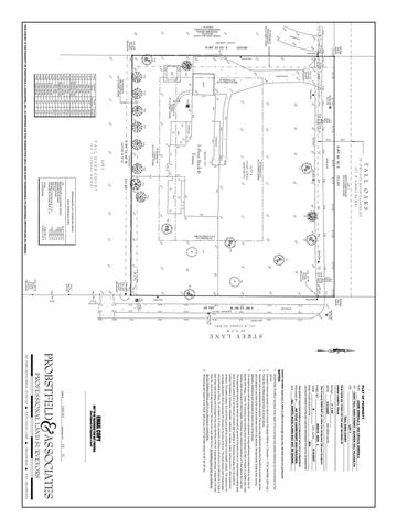 12003 Tall Oaks Street, Houston, TX 77024