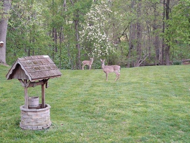 5838 OKLAHOMA RD, Sykesville, MD 21784