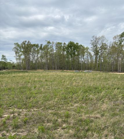 0 Brinkley Road, Wartrace, TN 37183