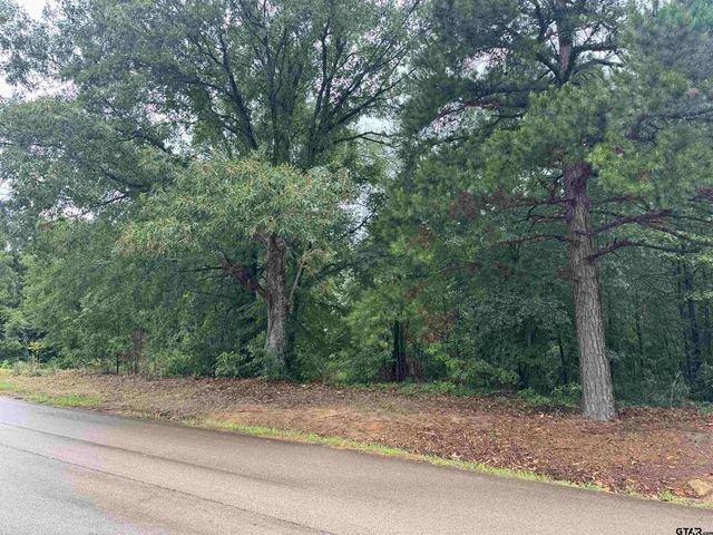 18029 County Road 4108, Lindale, TX 75771