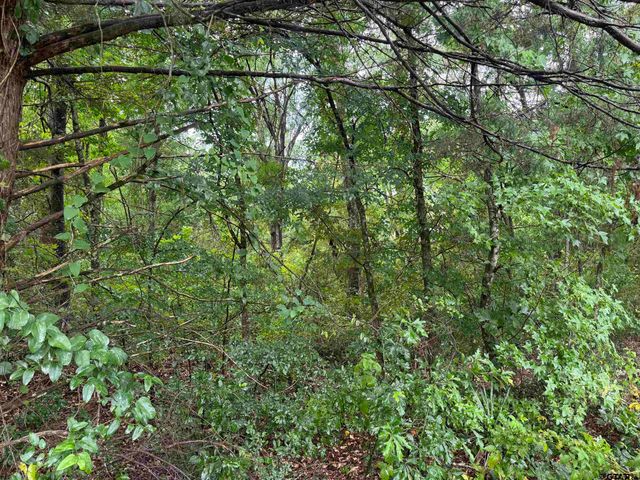 18029 County Road 4108, Lindale, TX 75771