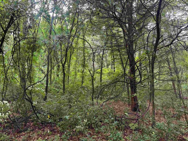 18029 County Road 4108, Lindale, TX 75771
