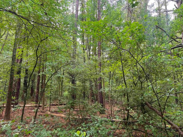 18029 County Road 4108, Lindale, TX 75771