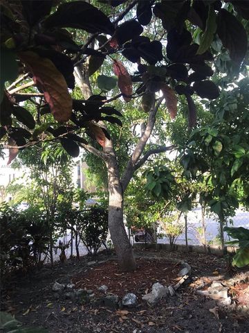 6530 W 2nd Ct 1, Hialeah, FL 33012