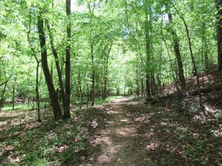 0 Chestatee Drive, Dahlonega, GA 30533