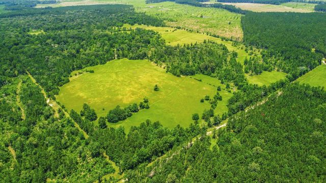TBD Towns Cemetery Rd, Livingston, TX 77351