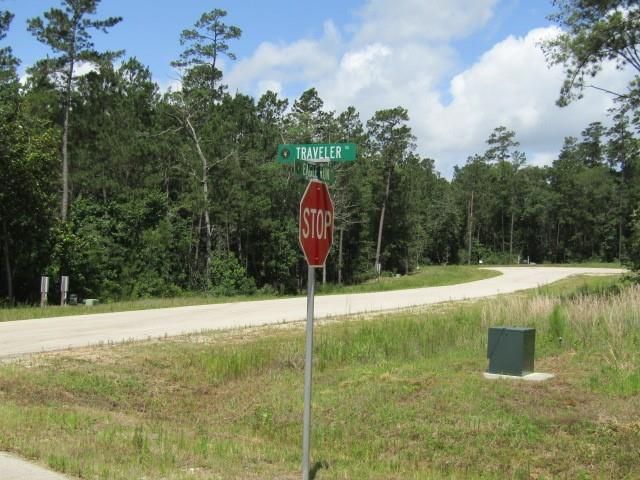 126 Traveler Trail, Willis, TX 77378