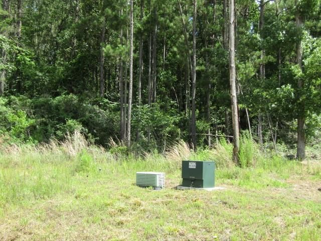 126 Traveler Trail, Willis, TX 77378