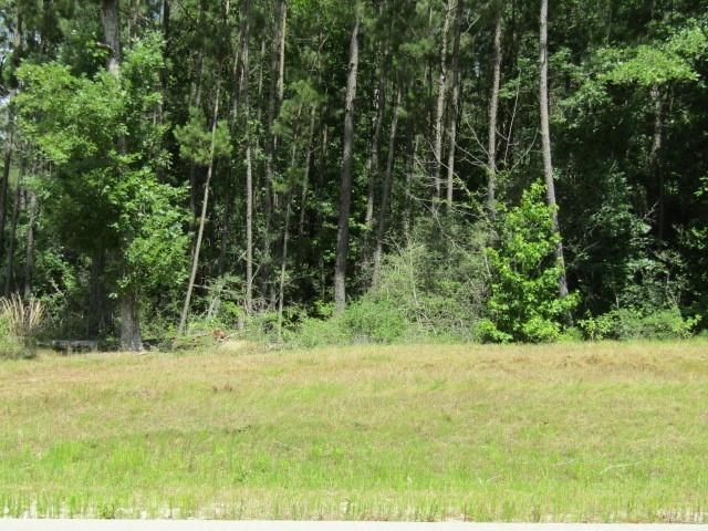 126 Traveler Trail, Willis, TX 77378
