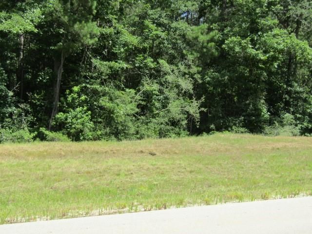 126 Traveler Trail, Willis, TX 77378