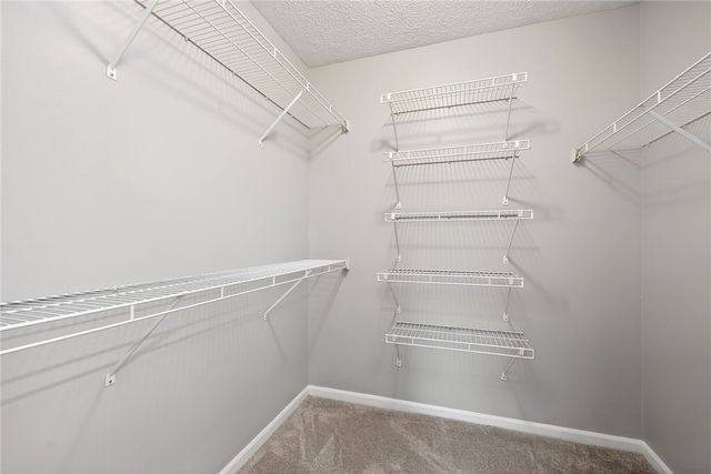 40 Turnberry Court, Springboro, OH 45066