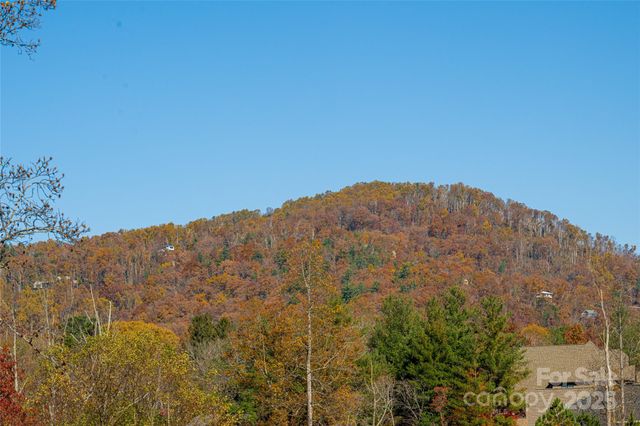 38 Chantilly Drive, Asheville, NC 28804