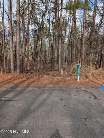 102 Bancroft Court, West End, NC 27376