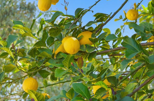 2497 E IVANHOE Court, Gilbert, AZ 85295