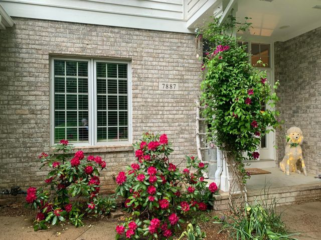 7887 Burrstone Court Se, Caledonia Twp, MI 49316