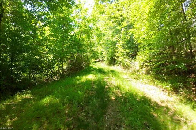15 Roby Fulk Road, Pinnacle, NC 27043