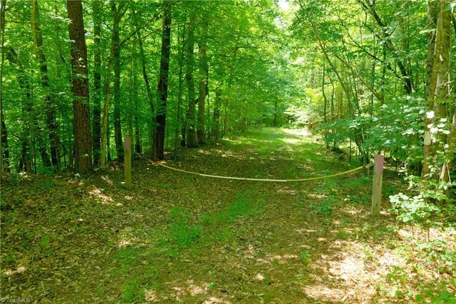 15 Roby Fulk Road, Pinnacle, NC 27043