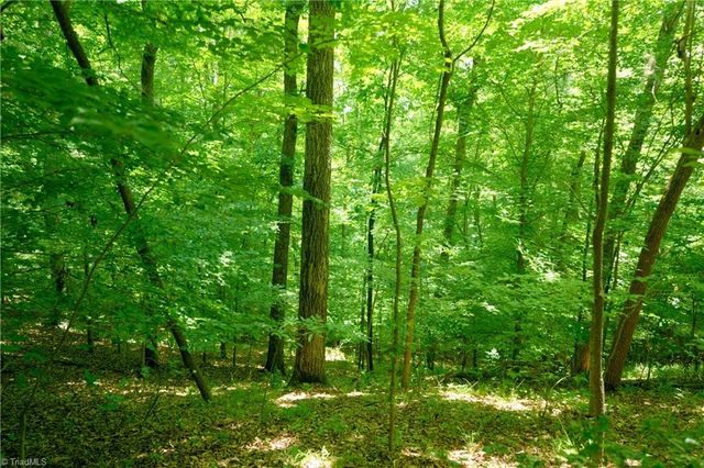 15 Roby Fulk Road, Pinnacle, NC 27043