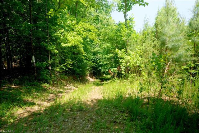 15 Roby Fulk Road, Pinnacle, NC 27043