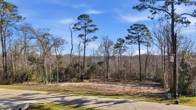 0 County Road 427, Dayton, TX 77535