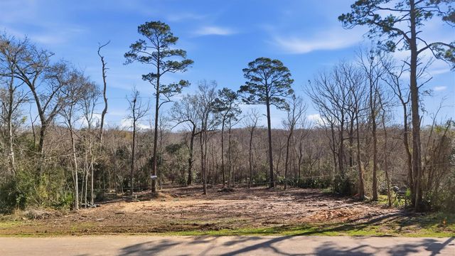 0 County Road 427, Dayton, TX 77535