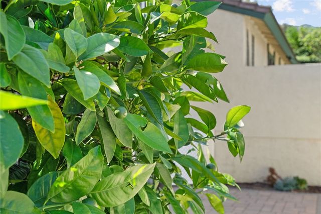 2653 Condor, Corona, CA 92882