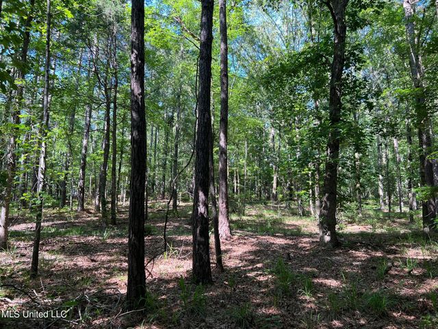 N Livingston Road, Madison, MS 39110