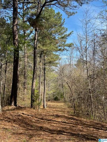 1896 HIGHWAY 45, Sterrett, AL 35147