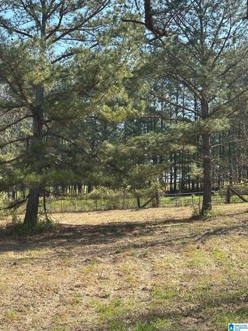 1896 HIGHWAY 45, Sterrett, AL 35147