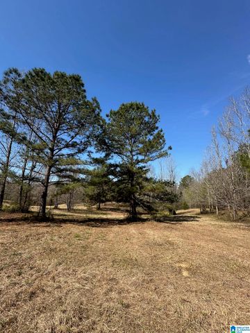 1896 HIGHWAY 45, Sterrett, AL 35147