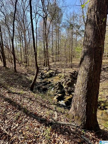 1896 HIGHWAY 45, Sterrett, AL 35147