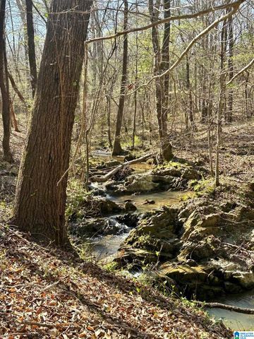 1896 HIGHWAY 45, Sterrett, AL 35147