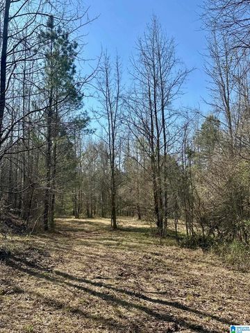 1896 HIGHWAY 45, Sterrett, AL 35147