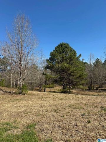 1896 HIGHWAY 45, Sterrett, AL 35147