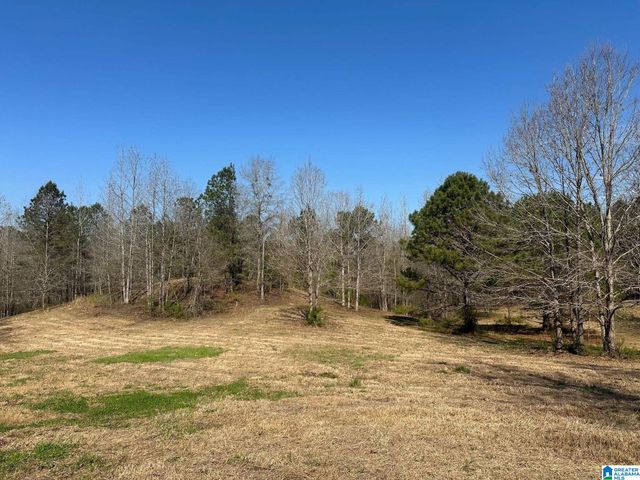 1896 HIGHWAY 45, Sterrett, AL 35147