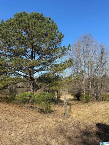 1896 HIGHWAY 45, Sterrett, AL 35147