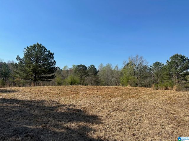 1896 HIGHWAY 45, Sterrett, AL 35147